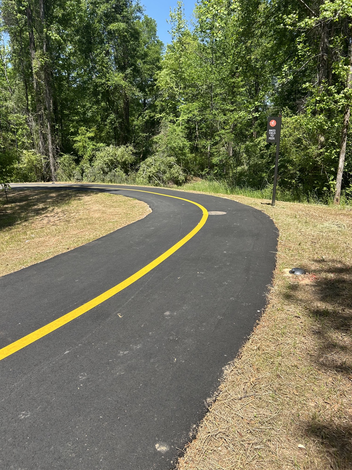 Newly paved wooded trail with a bright yellow centerline
